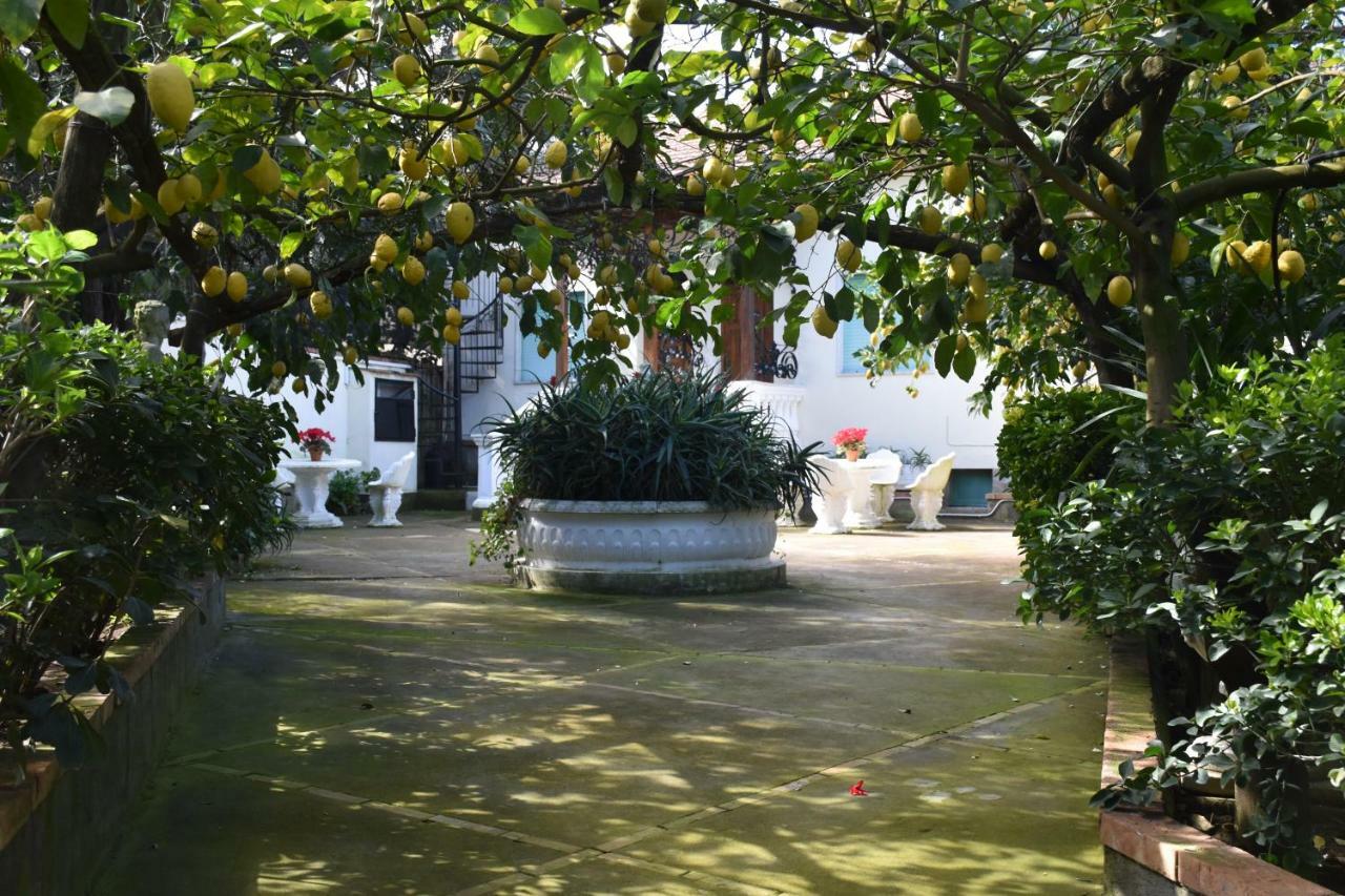 De Gregorio Apartment Massa Lubrense Luaran gambar